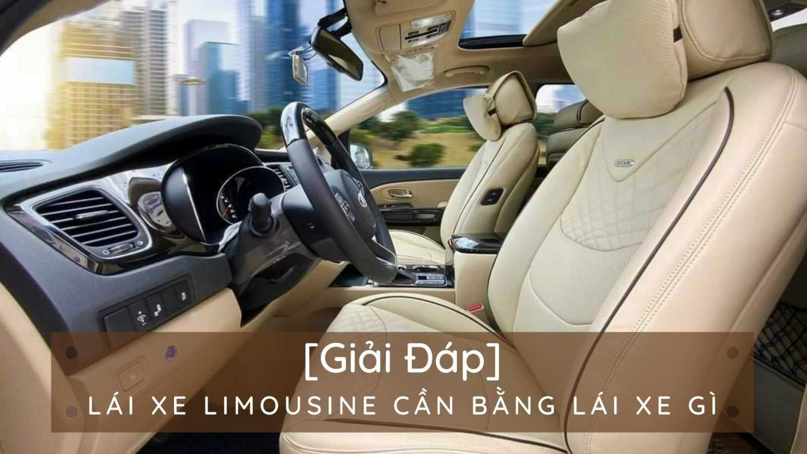 Read more about the article [Giải Đáp] Lái xe Limousine cần bằng gì phù hợp ?